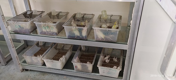 Animal House Image 3